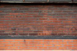 Photo Textures of Wall Bricks